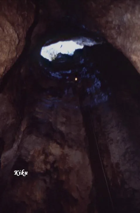 Fotografía de SANT ROC, GRALLER DE (2 de 7)