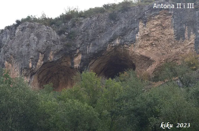 Fotografia de ANTONA, COVES D' (7 de 17)