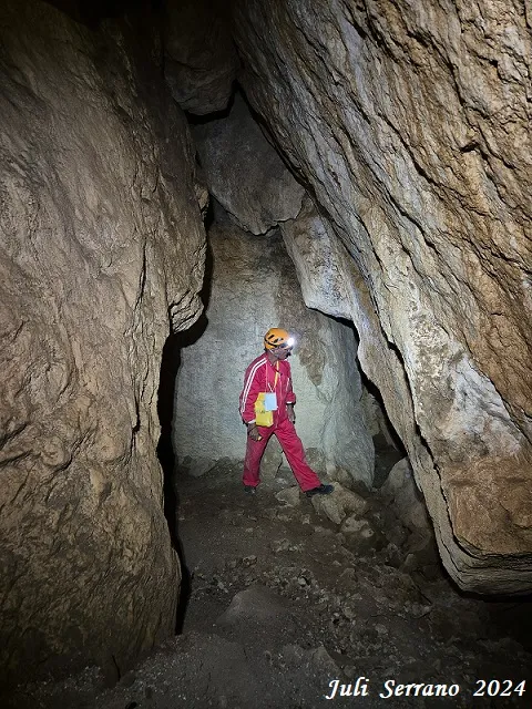 Fotografia de MATA, COVA D'EN (6 de 13)