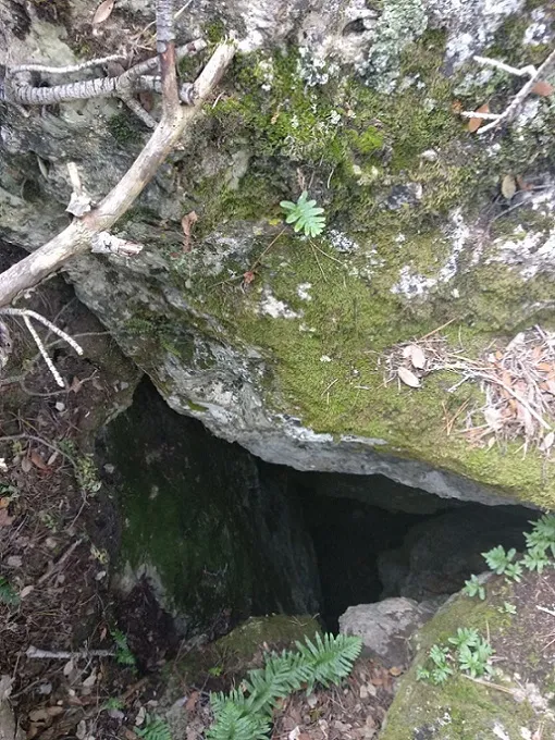 Fotografia de MAS DEL DINERAL, AVENC DEL (2 de 2)