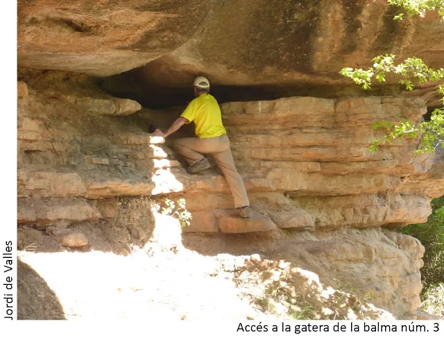 Fotografia de FONT DE LES COVES, BALMA Nº3 DE LA (2 de 2)