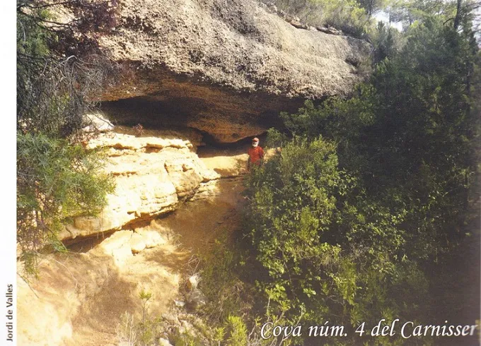 Fotografia de CARNISSER, COVES DEL  (5 de 9)