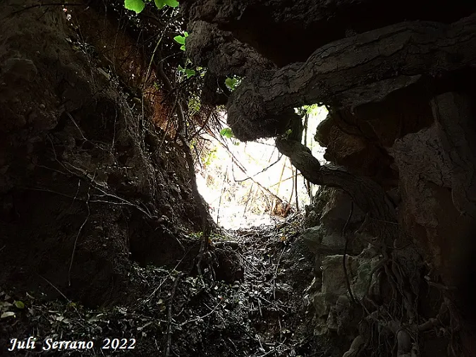 Photographie de FONT DELS CAPELLANS, COVA DE LA (6 sur 6)
