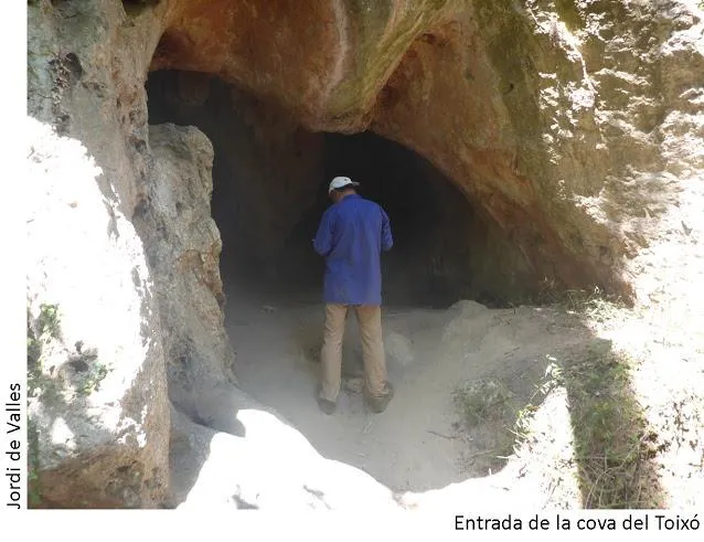 Fotografia de TOIXÓ, COVA DEL (1 de 4)