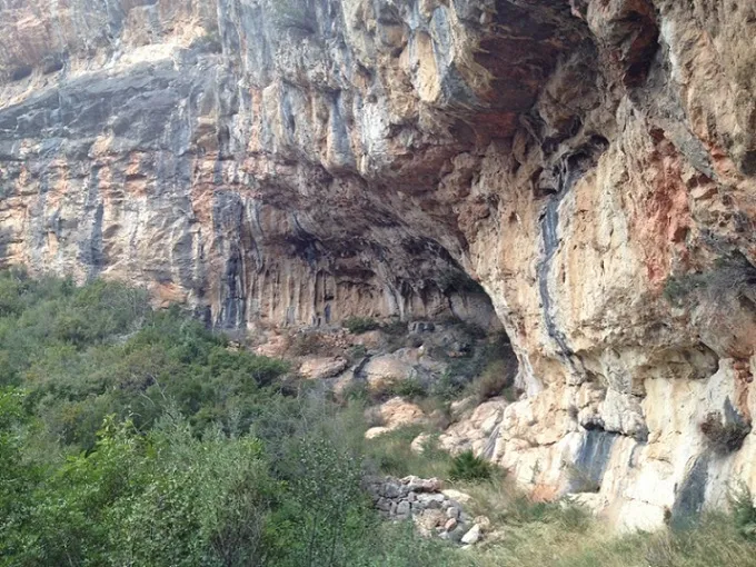 Photograph of CULLA, COVA (1 of 1)