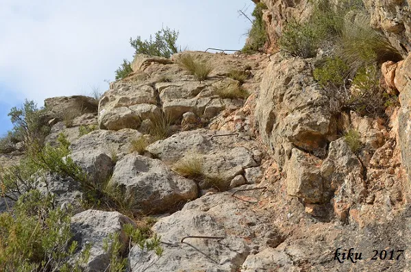 Fotografia de GRAONS, COVA DELS (1 de 3)