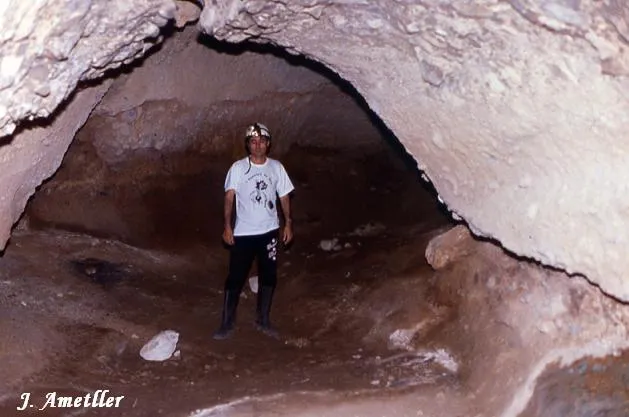 Fotografia de SERPENT, COVA DEL (2 de 3)
