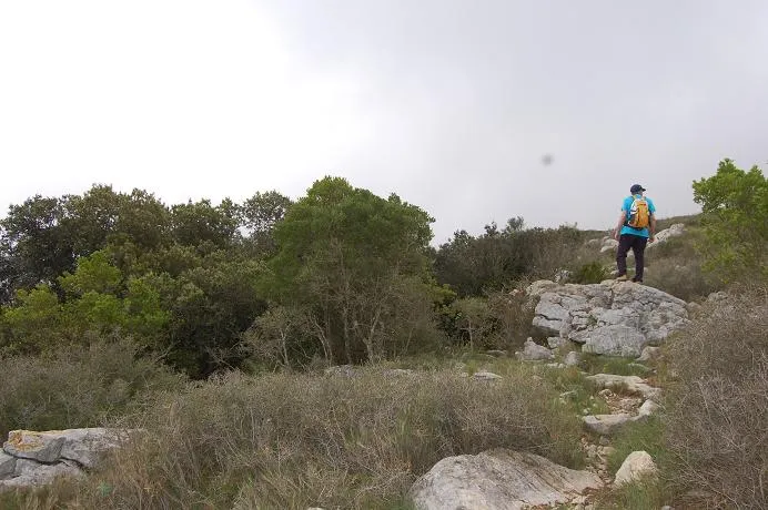 Fotografía de MORELLA, AVENC DE LA (2 de 6)