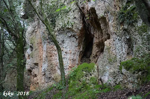Fotografía de AVELLANER, COVA DE L' (2 de 2)