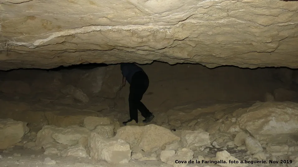 Fotografia de FARINGALLA, COVA DE LA (6 de 6)