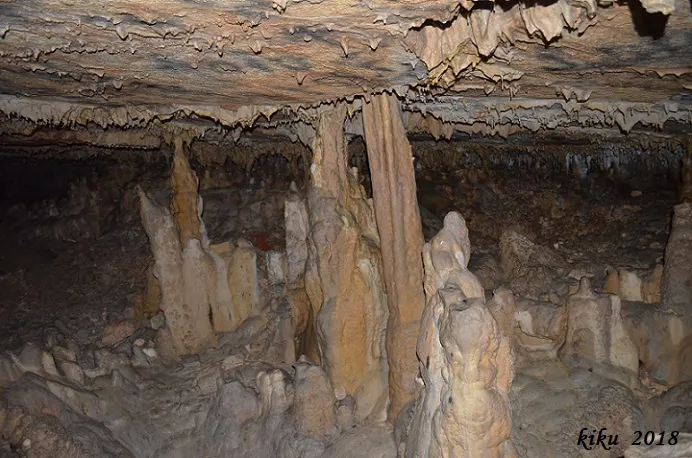 Fotografia de BONICA, COVA (15 de 18)