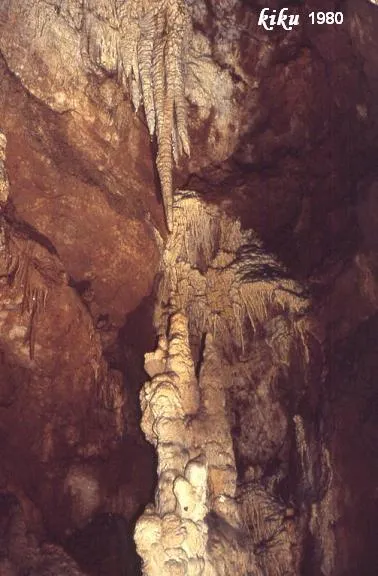 Photographie de SELLARÈS, AVENC (9 sur 9)