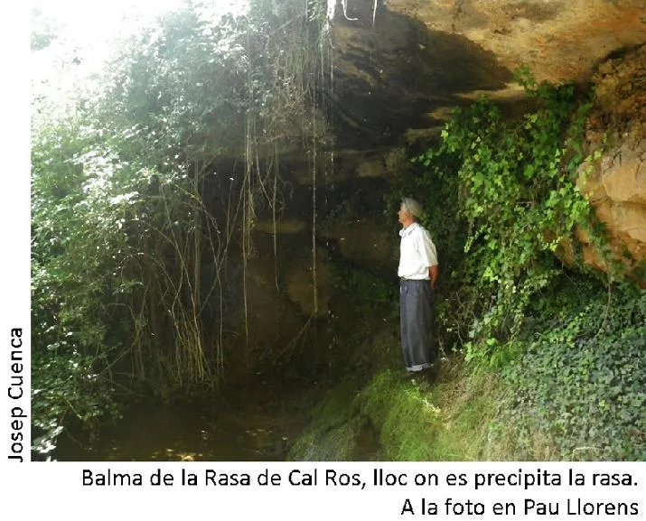 Fotografia de RASA DE CAL ROS, BALMA DE LA (1 de 2)