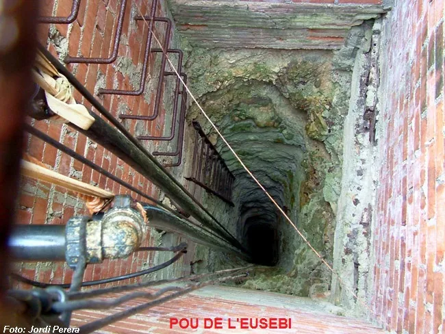 Fotografía de FALCONERA, LA (3 de 3)