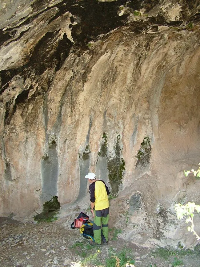 Photograph of AMAGADA DEL SAÜC, BALMA (4 of 4)