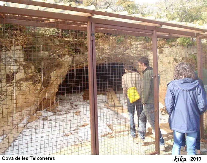 Fotografia de TEIXONERES, COVA DE LES (2 de 6)