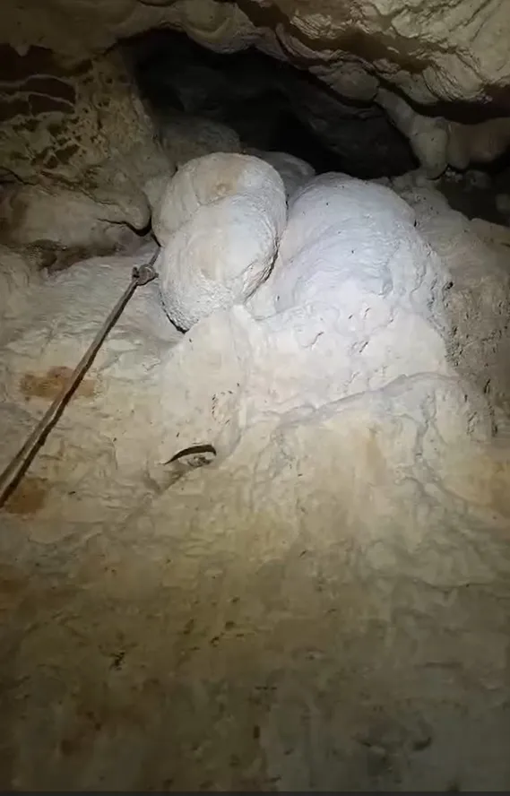 Fotografía de TORRENT DELS CORTILS, COVA DEL (5 de 6)