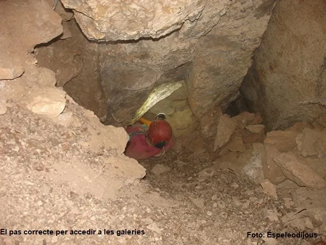 Photographie de CARRADON, COVA DE (6 sur 9)