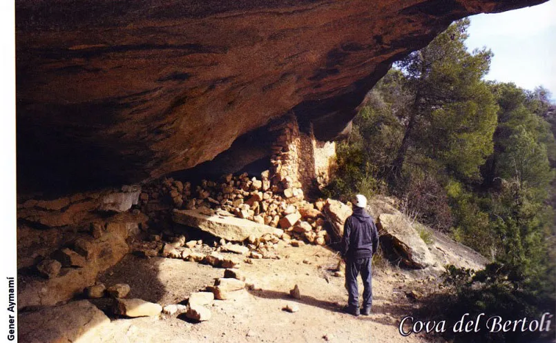 Fotografia de BERTOLÍ, COVA DEL (2 de 2)
