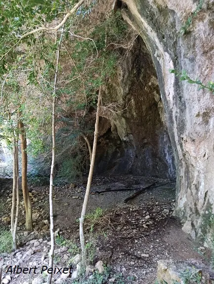 Photographie de ARGANY, COVA DE L' (4 sur 10)