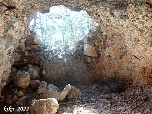 Fotografia de MASIA, COVA DE LA (4 de 4)
