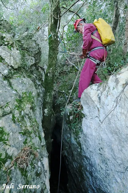 Fotografia de CAMÍ DEL TEIX, AVENC Nº2 DEL (1 de 4)