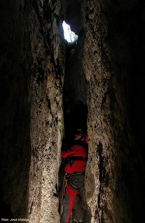Photograph of MONTSE TRAVÉ, AVENC (5 of 6)