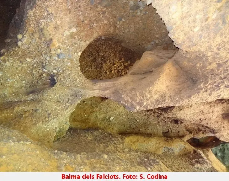 Photographie de FALCIOTS, BALMA DELS (4 sur 5)