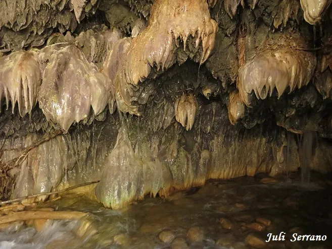 Photograph of BULÍ, COVA DE (7 of 12)