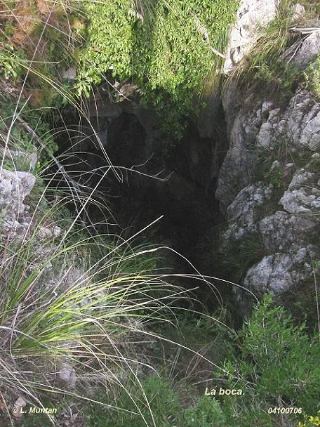 Fotografia de MUSSOLS, AVENC DELS (2 de 2)