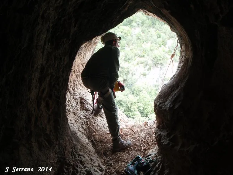 Photograph of FONT FREDA, COVA Nº2 DE LA (7 of 7)