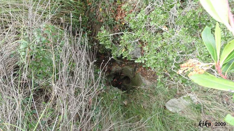 Fotografía de PERPALINA, AVENC DE LA (2 de 2)