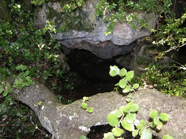 Photographie de PATXARRO, COVA (5 sur 9)