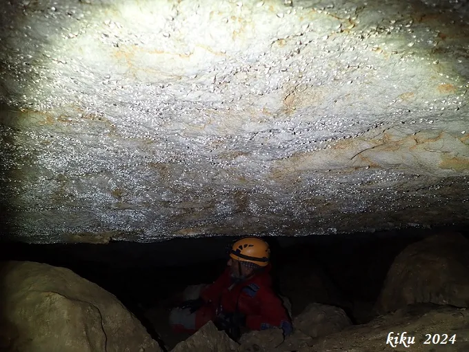 Fotografia de MATA, COVA D'EN (8 de 13)