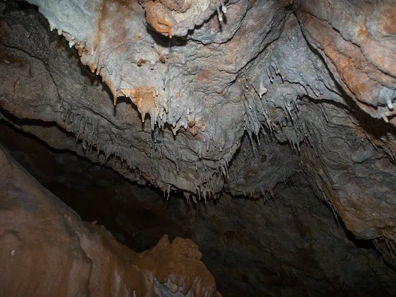 Fotografía de OBAGA D'ESPADES, BÒFIA DE L' (7 de 15)