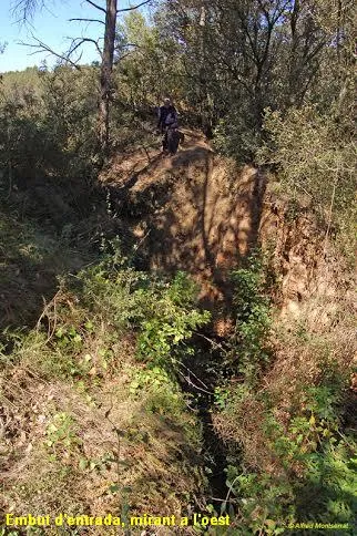 Fotografia de CAN TRULLARS, COVA DE (4 de 10)