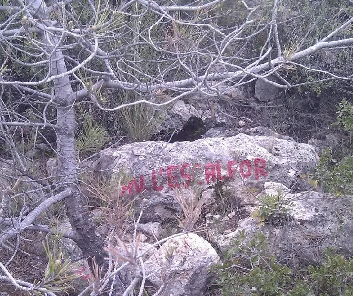 Fotografia de ESCALFOR, AVENC DE L' (1 de 5)