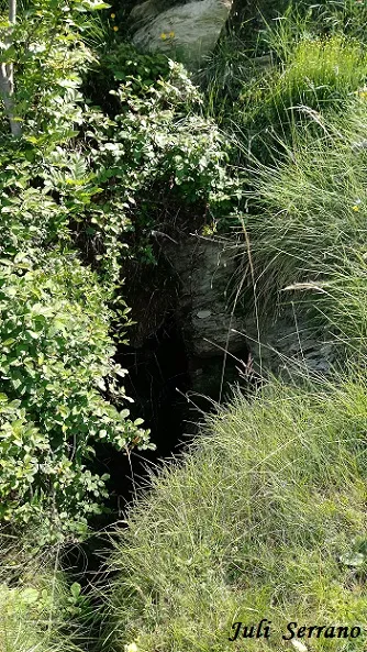 Fotografía de PUIG DE LES BRUIXES, FORAT DEL (4 de 16)