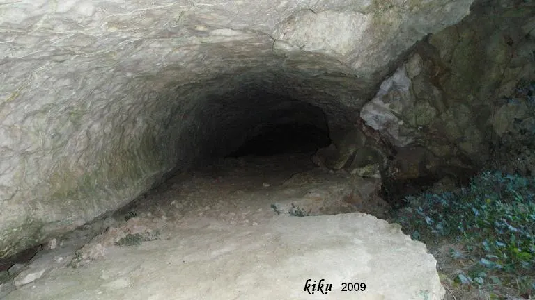 Fotografia de MOSQUERA, COVA DE LA (3 de 4)