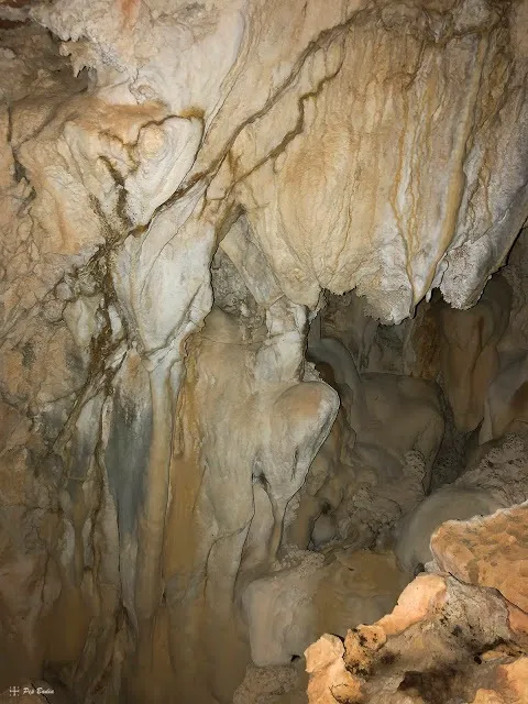 Fotografía de PALLERET, COVA DEL (3 de 3)