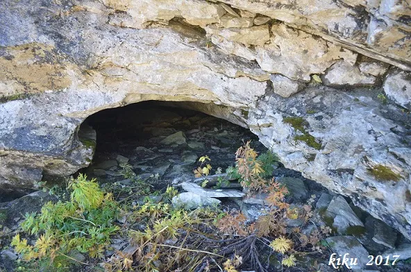 Fotografia de CATAU DE L'ÓS, COVES DEL (5 de 5)