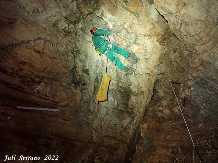 Photographie de VILA, COVA DE LA (13 sur 18)