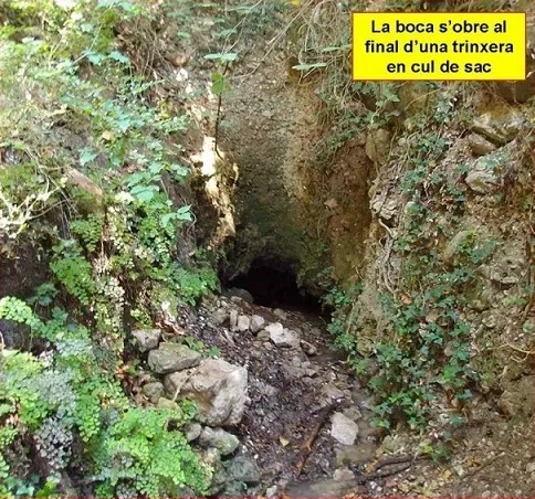 Photographie de FONT CALENTA, COVA DE LA (1 sur 6)