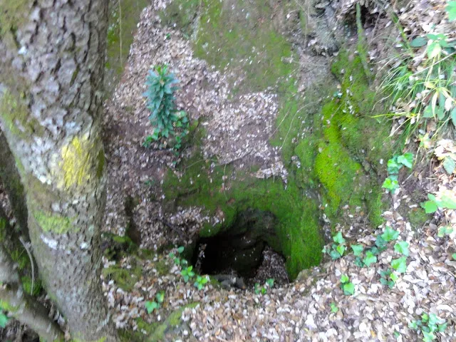 Fotografía de BARBOTERA, AVENC DE LA (1 de 1)