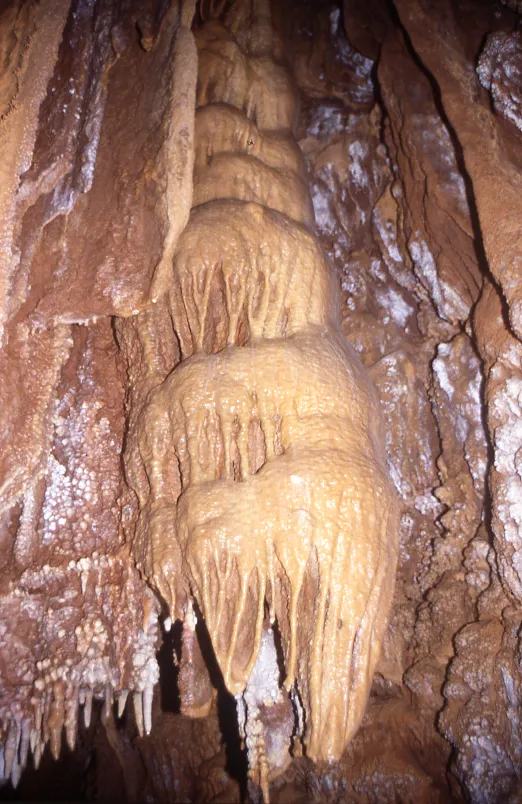 Photograph of BARRACA,  FORAT DE LA (4 of 4)