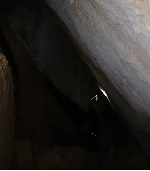 Fotografia de ARENY, COVA DE L' (5 de 6)