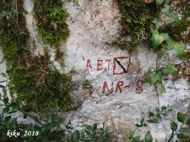 Fotografía de NR-8, AVENC (1 de 12)