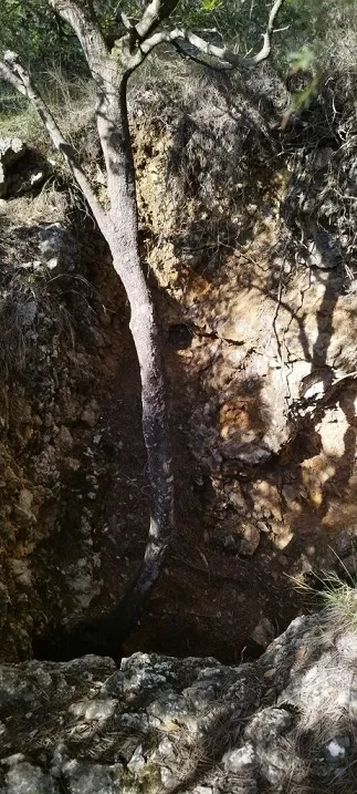Fotografia de MORSELL, COVA DEL (1 de 4)
