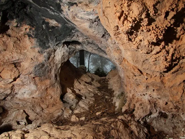 Photographie de PESSETA, COVA DE LA (3 sur 5)