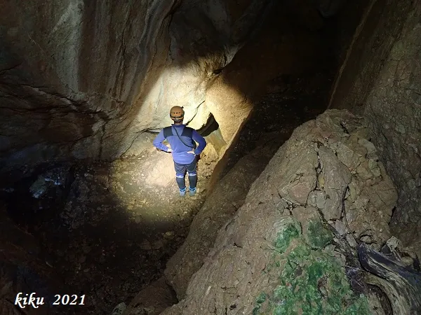 Fotografia de RASETS, BÒFIA DE (5 de 8)